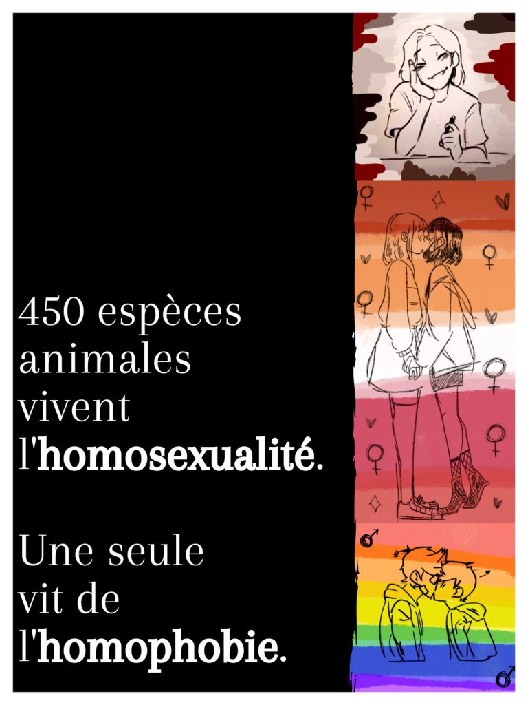 Projet d'affiche : Homophobie